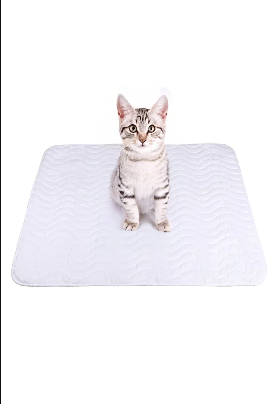 PetPad™ Yıkanabilir Sızdırmaz Evcil Hayvan Pedi