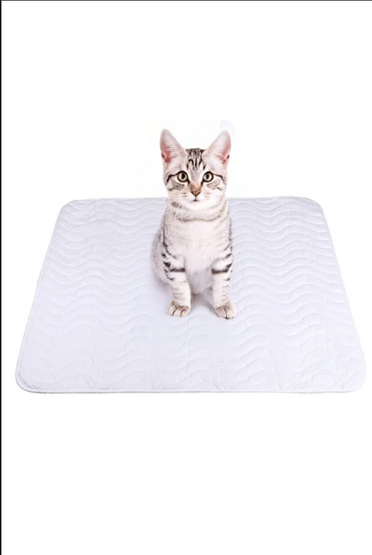 PetPad™ Yıkanabilir Sızdırmaz Evcil Hayvan Pedi