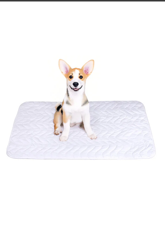 PetPad™ Yıkanabilir Sızdırmaz Evcil Hayvan Pedi